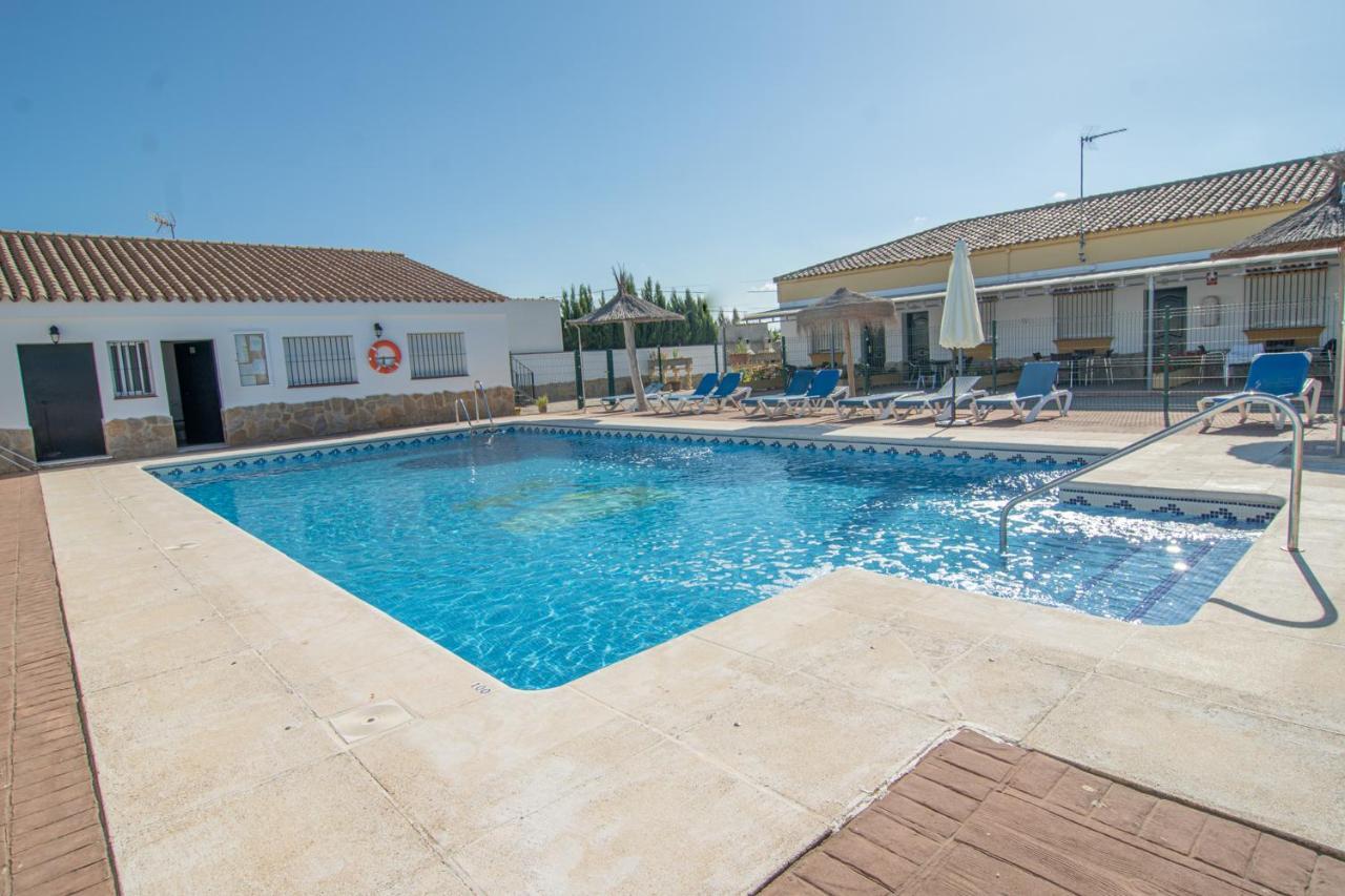 El Palmeral